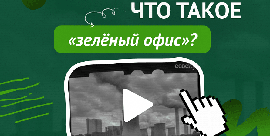Что такое «зелёный офис» и каким он должен быть?