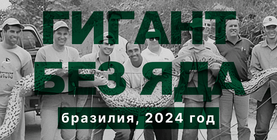 Гигант без яда